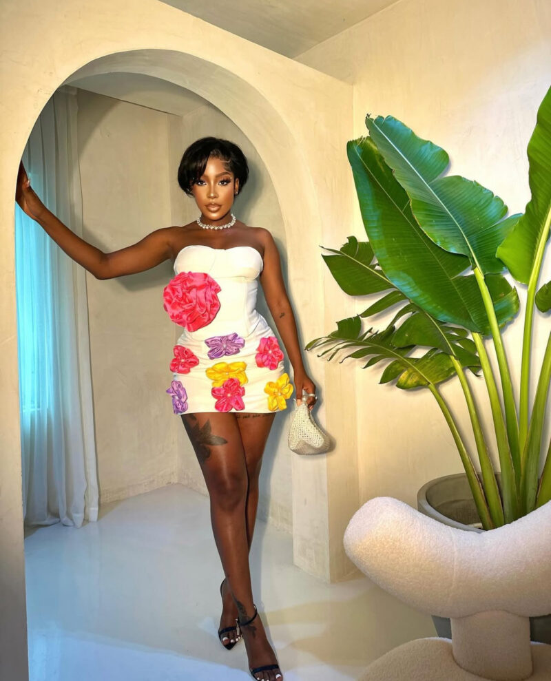 The Sunflower Set - Image 3